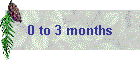 0 to 3 months