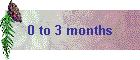 0 to 3 months
