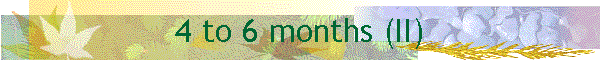 4 to 6 months (II)
