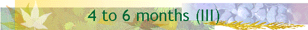 4 to 6 months (III)