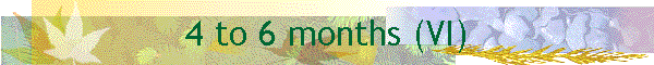 4 to 6 months (VI)
